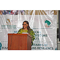 Resilient African Feed & Fodder Systems (RAFFS) Project image