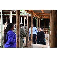 RAFFS Project: Kenya image