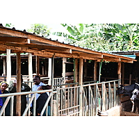 RAFFS Project: Kenya image