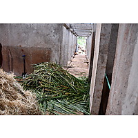 RAFFS Project: Kenya image