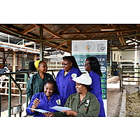 RAFFS Project: Kenya image