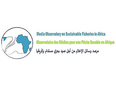cropped-logo-768x233.jpg - Media Observatory for Sustainable Fishing in Africa (MOSFA)  image