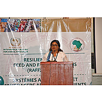 Resilient African Feed & Fodder Systems (RAFFS) Project image