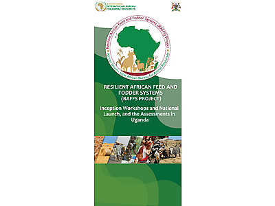 Uganda Pull Up Banner.jpg - RAFFS Project Uganda Inception and AWARFA-N Launch and Assessments image
